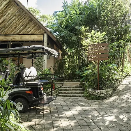The Mesare Jungle Resort