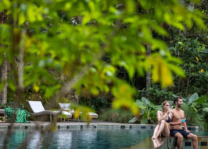 The Mesare Jungle Resort