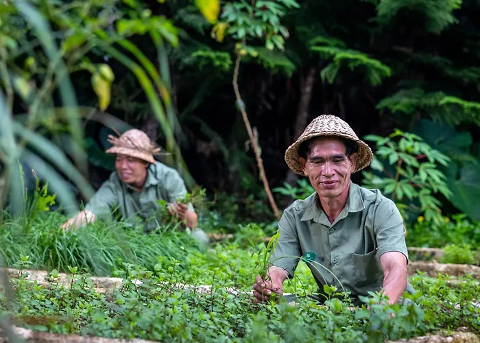 The Mesare Jungle Station touristique 4*