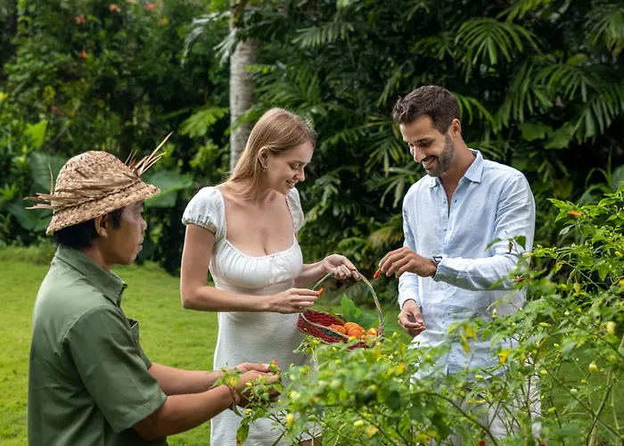 Resort The Mesare Jungle 4*