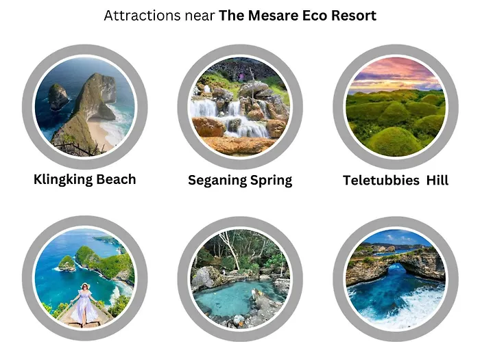 The Mesare Jungle 4* Batumadeg