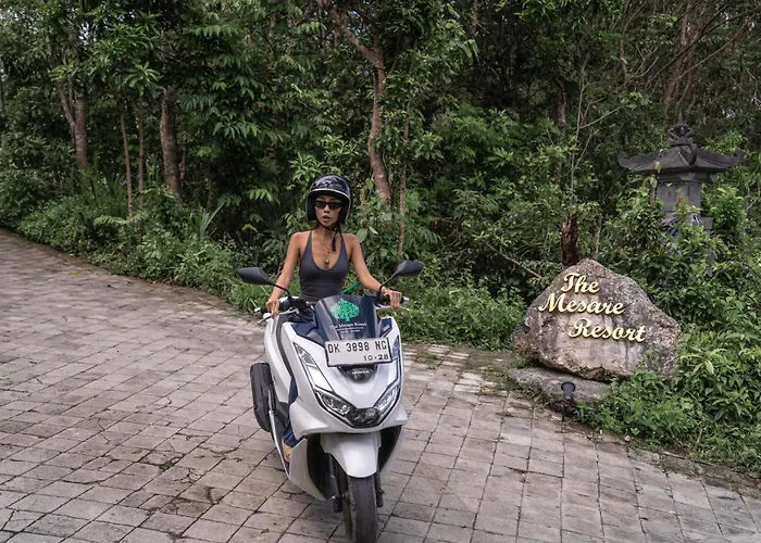 The Mesare Jungle Station touristique Batumadeg