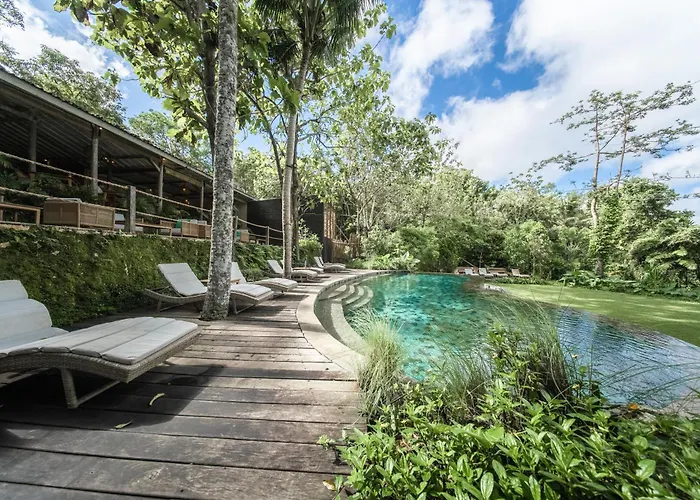 Resort The Mesare Jungle Batumadeg
