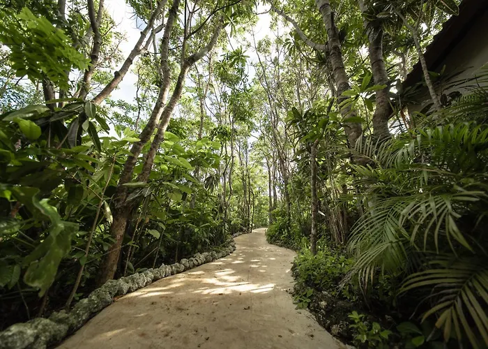 Station touristique The Mesare Jungle 4*