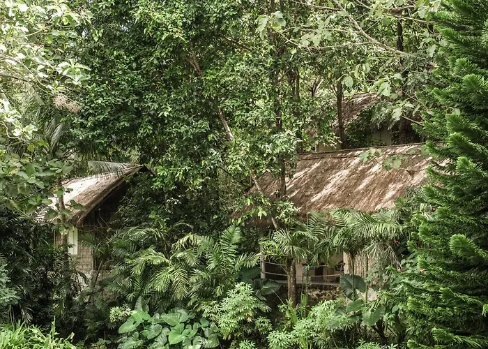 The Mesare Jungle Station touristique 4*