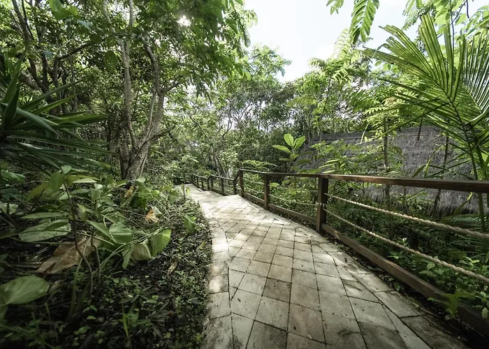 The Mesare Jungle 4* Batumadeg