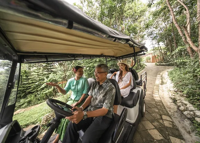 Resort The Mesare Jungle