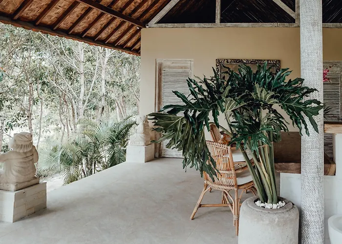 The Mesare Jungle Resort 4*