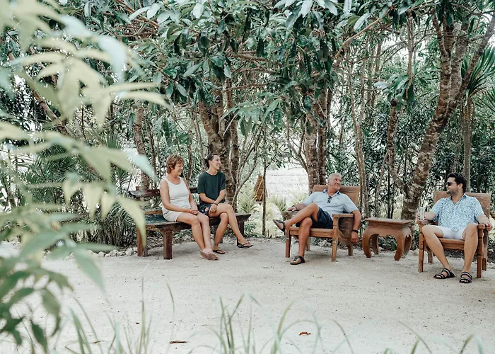 The Mesare Jungle