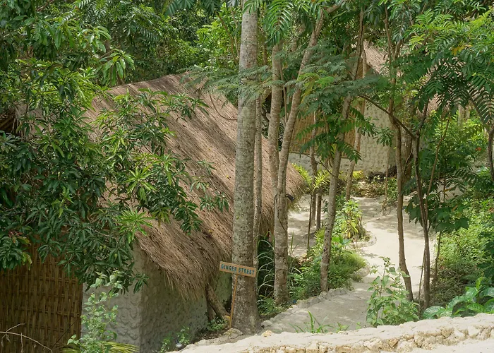 The Mesare Jungle 4* Batumadeg
