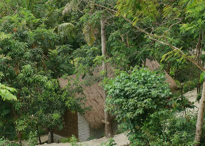 Resort The Mesare Jungle