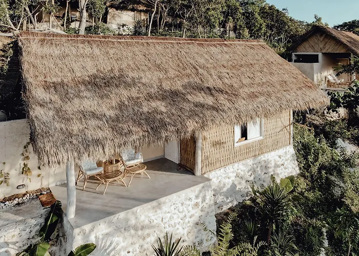 The Mesare Jungle 4* Batumadeg