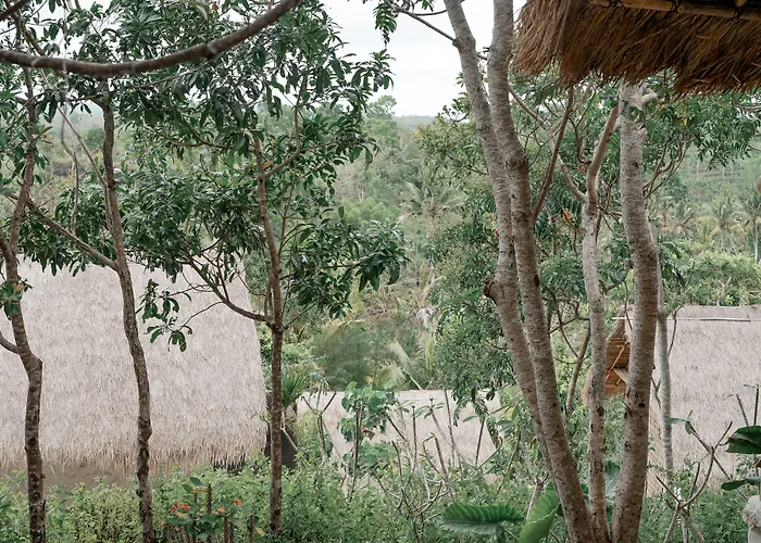 Station touristique The Mesare Jungle