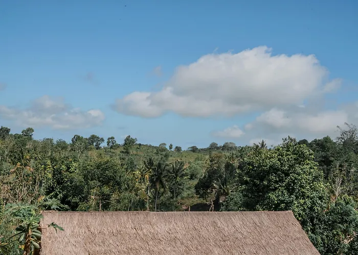 Station touristique The Mesare Jungle 4*