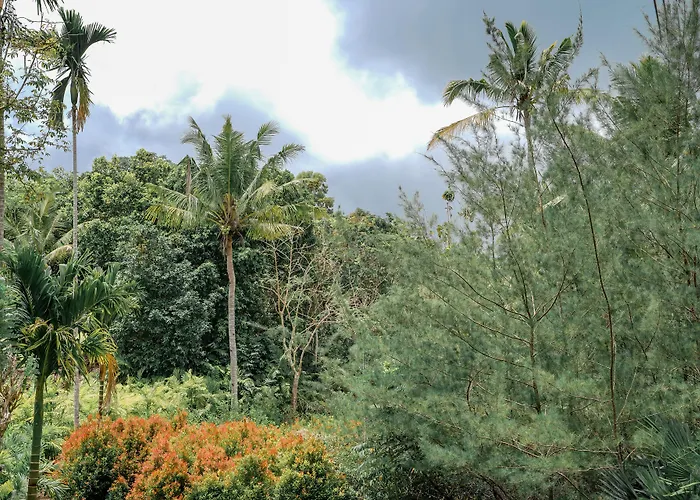 The Mesare Jungle Station touristique Batumadeg