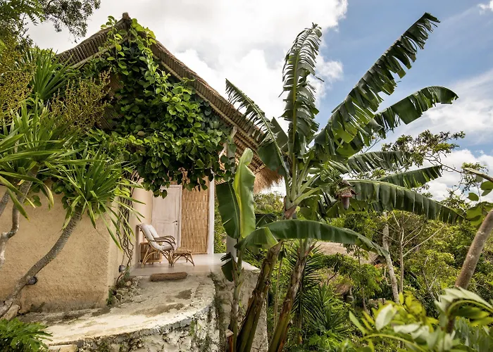 The Mesare Jungle 4*