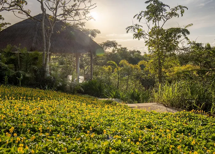 The Mesare Jungle 4*
