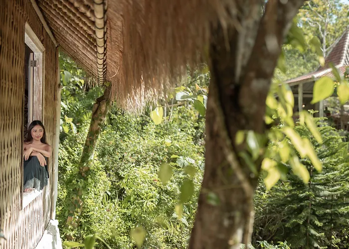 Station touristique The Mesare Jungle 4*