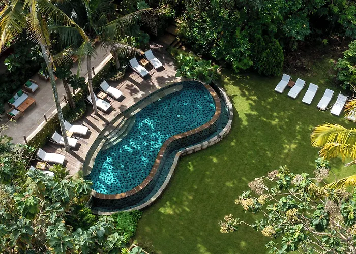 Resort The Mesare Jungle Batumadeg
