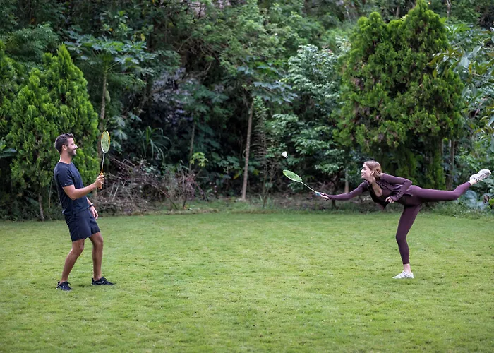 The Mesare Jungle